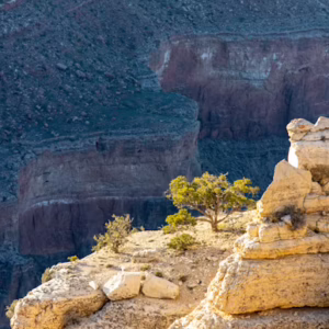 Goal Setting, Motivation, and Resilience