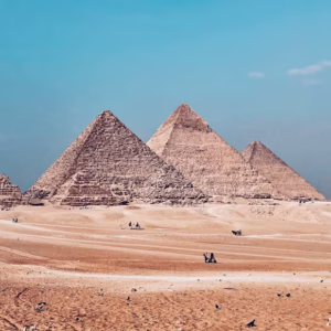 Egyptology