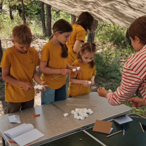 Activities Coordinator