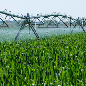 Agricultural Science