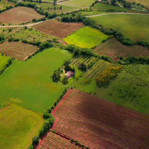 Land Management