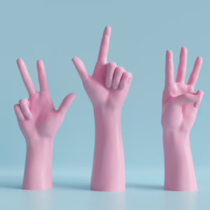 BSL (British Sign Language) Level 2