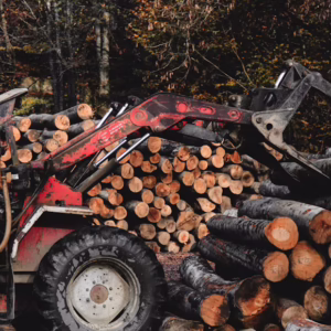 Logger Training
