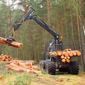 Logger Training