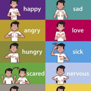 British Sign Language (BSL) for Beginner