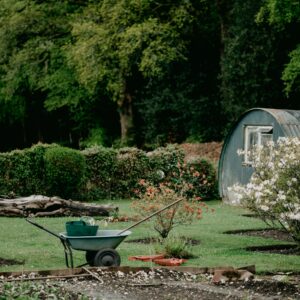 Gardening – Garden Design