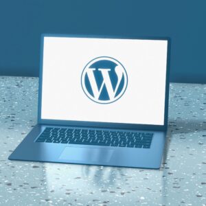 Web Design and WordPress Training
