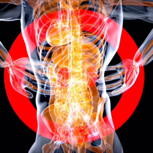 Back Injury Prevention