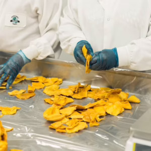 Food Quality Maintenance