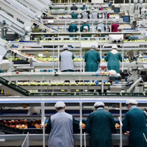 Food Safety & Sanitation for Food Manufacturers