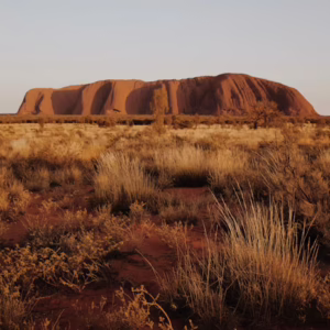 Indigenous Studies: Australian Aboriginal Cultures
