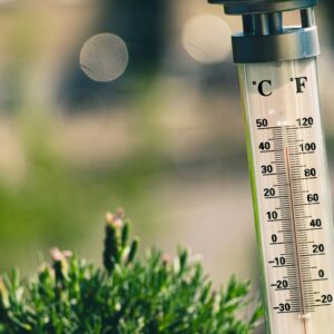 Heatwave Health and Safety Tips