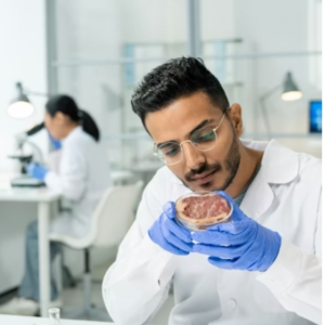 Food Microbiology