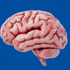 Cognitive and Clinical Psychology