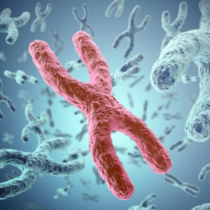 Cell Biology Fundamentals