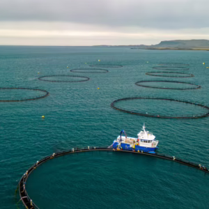 Aquaculture and Fisheries Management Basics