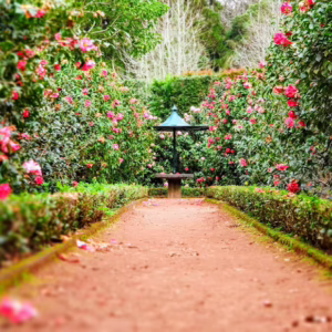 Horticulture