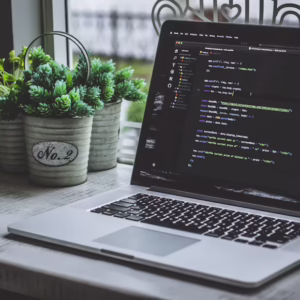 Learn to Code HTML, CSS, Javascript: Guide for Beginners