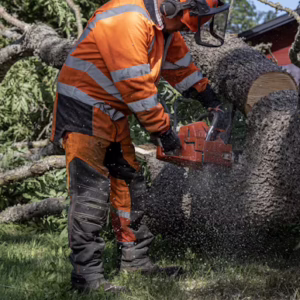 Chainsaw Safety and Maintenance Training