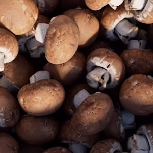 Farming – Growing Mushroom