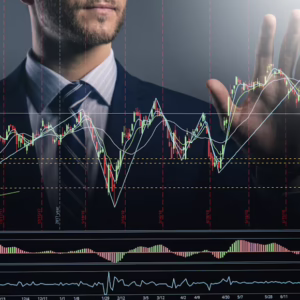 Stock and Bond Investment Strategies