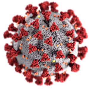 Coronavirus (COVID-19) Awareness Course
