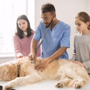 Animal Assisted Therapy Basics