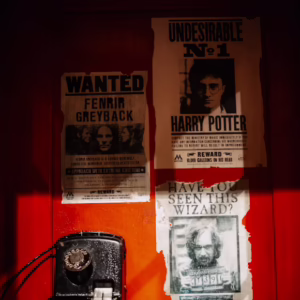 Witness Investigation