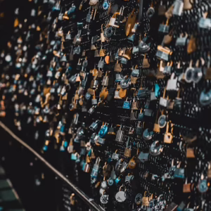 Data Protection & Regulation
