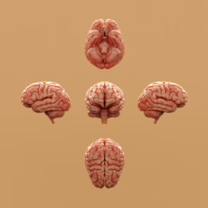 Awareness and Understanding of Schizophrenia